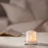 plmebli
