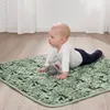 plmebli