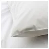 plmebli