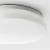 plmebli