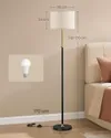 plmebli