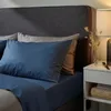 plmebli