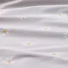 plmebli