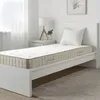 plmebli