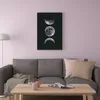 plmebli