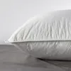 plmebli