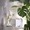 plmebli