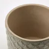 plmebli