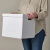 plmebli