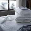 plmebli