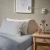 plmebli