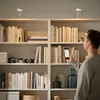 plmebli