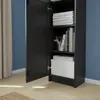 plmebli