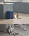 plmebli