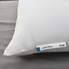 plmebli