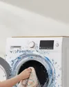 plmebli