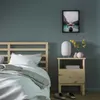plmebli