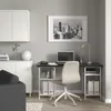 plmebli