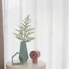 plmebli
