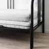 plmebli