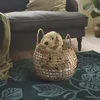 plmebli