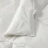 plmebli