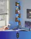 plmebli