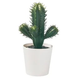 IKEA FEJKA(605.871.54) Штучний горщик, всередину/поза кактусом