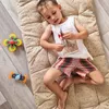 plmebli