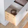 plmebli