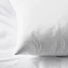 plmebli