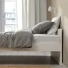 plmebli