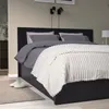 plmebli