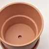 plmebli