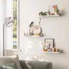 plmebli