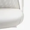 plmebli