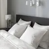 plmebli