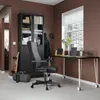 plmebli