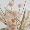 plmebli