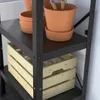 plmebli