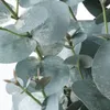 plmebli