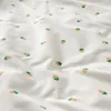 plmebli