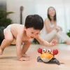 plmebli
