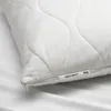 plmebli