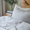 plmebli