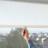 plmebli