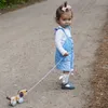 plmebli