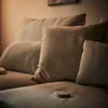 plmebli