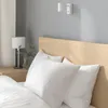 plmebli
