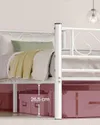 plmebli